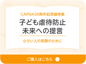 論考集チラシ